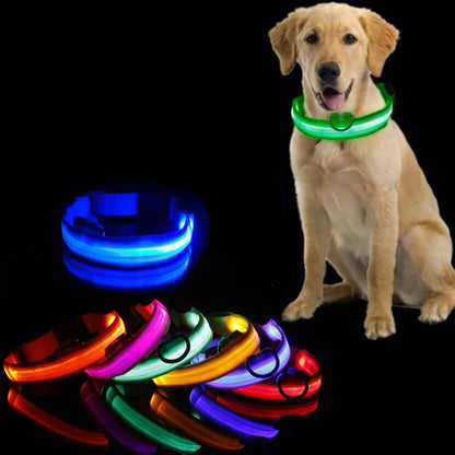 Rechargeable LED Light Up Dog Collar -ShopMallUniverse