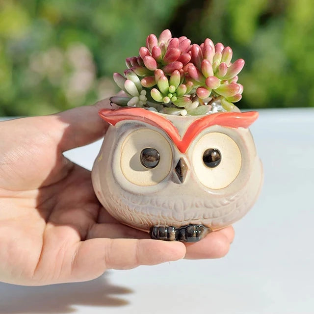 Owl Oasis: Charming Ceramic Flower Pot for Succulents and Cacti