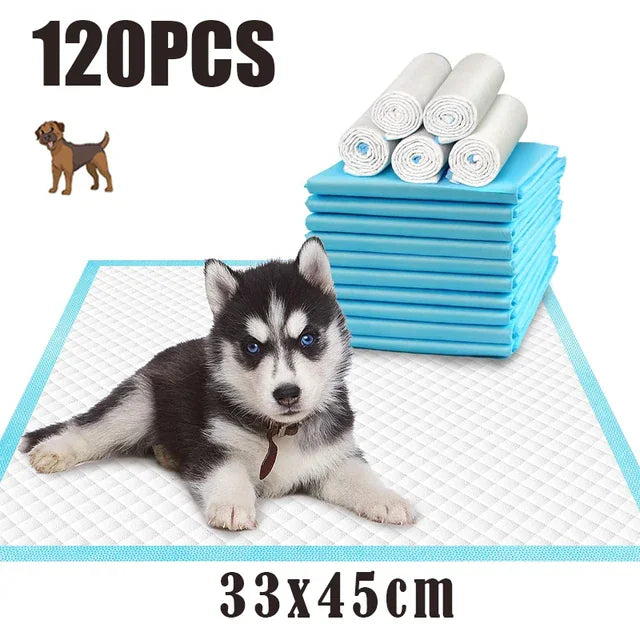 Ultra Absorbent Quick-Dry Pet Pads – Disposable, Healthy Nappy Mats for Dogs & Cats