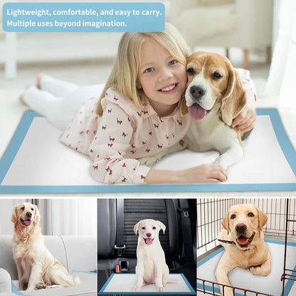 Ultra Absorbent Quick-Dry Pet Pads – Disposable, Healthy Nappy Mats for Dogs & Cats