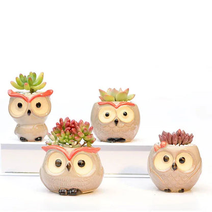 Owl Oasis: Charming Ceramic Flower Pot for Succulents and Cacti