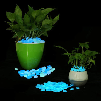 500-Piece Glow-in-the-Dark Garden Pebbles For An Enchanting Decor -ShopMallUniverse