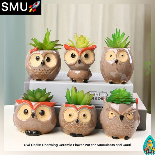 Owl Oasis: Charming Ceramic Flower Pot for Succulents and Cacti