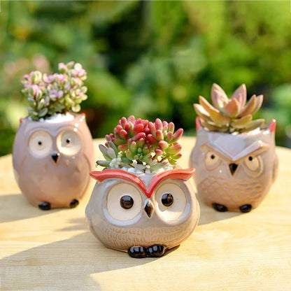 Owl Oasis: Charming Ceramic Flower Pot for Succulents and Cacti