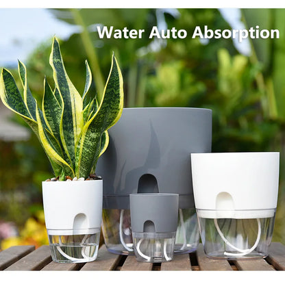 Transparent Self Watering Flower Pot -ShopMallUniverse