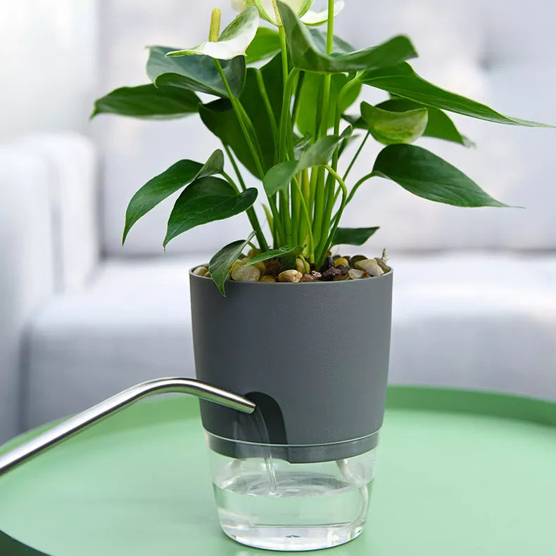 Transparent Self Watering Flower Pot -ShopMallUniverse