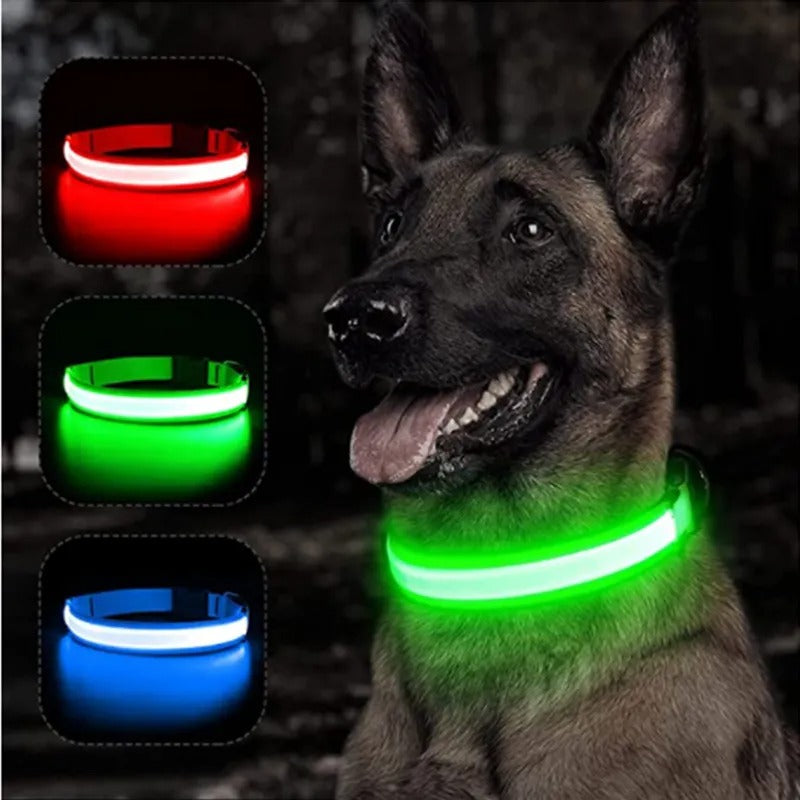 Rechargeable LED Light Up Dog Collar -ShopMallUniverse