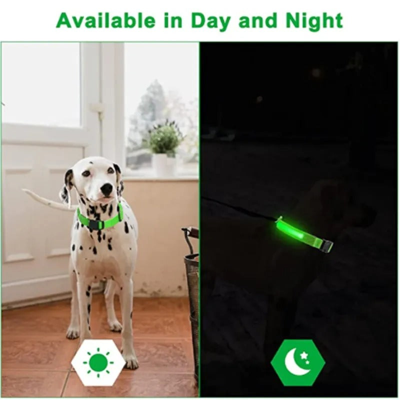 Rechargeable LED Light Up Dog Collar -ShopMallUniverse