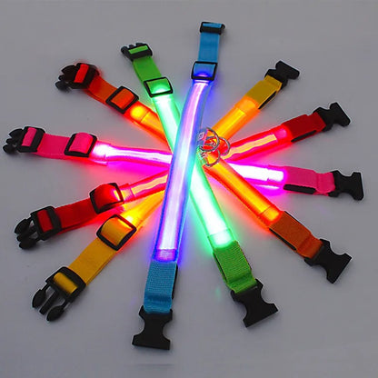 Rechargeable LED Light Up Dog Collar -ShopMallUniverse