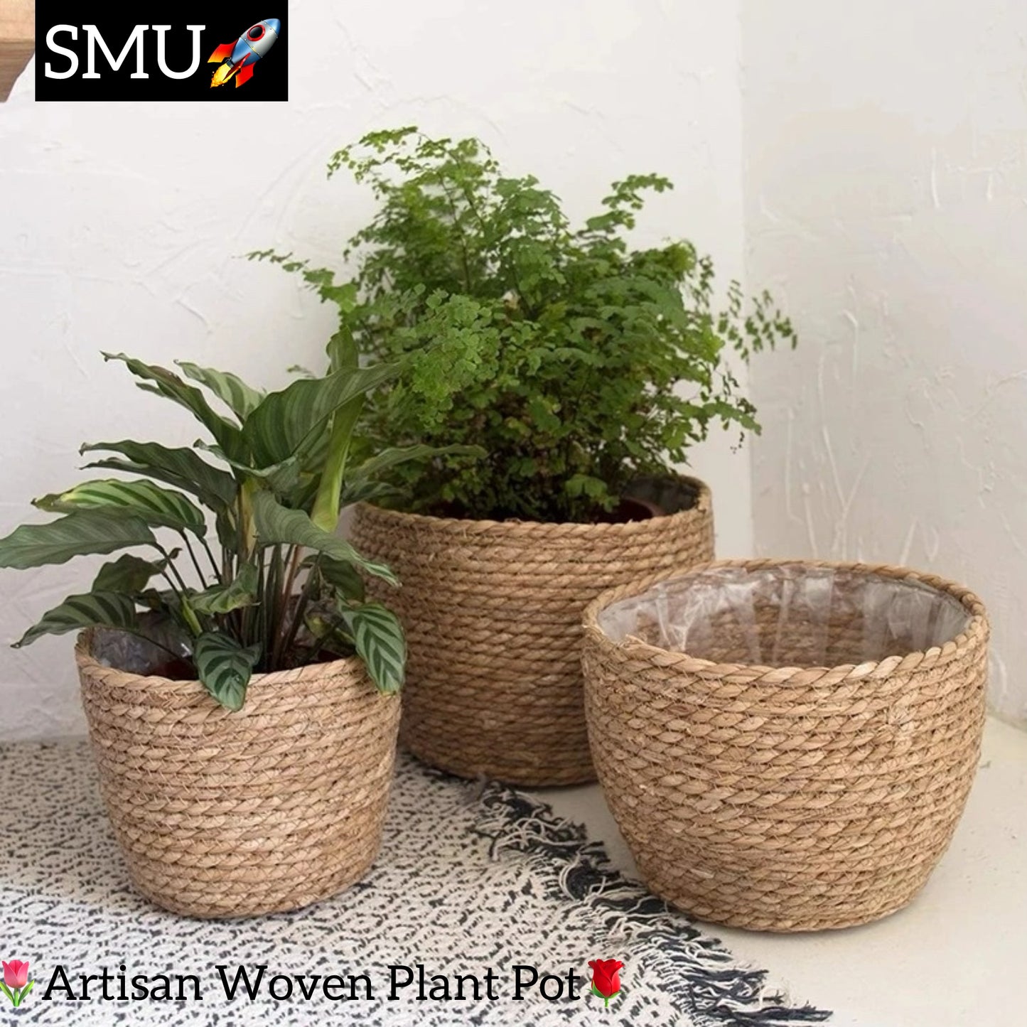 Artisan Woven Plant Pot: Handcrafted Straw Weaving for Indoor and Outdoor Plant Decor -ShopMallUniverse