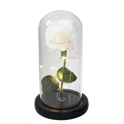 Galaxy Rose Light -ShopMallUniverse