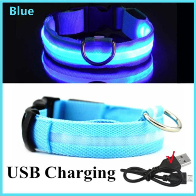 Rechargeable LED Light Up Dog Collar - Blue / XS -ShopMallUniverse