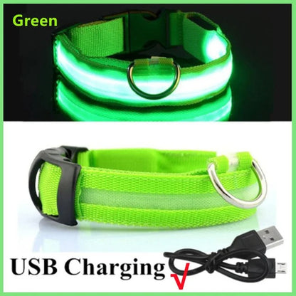 Rechargeable LED Light Up Dog Collar - Green / XS -ShopMallUniverse