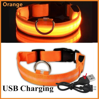 Rechargeable LED Light Up Dog Collar - Orange / XS -ShopMallUniverse