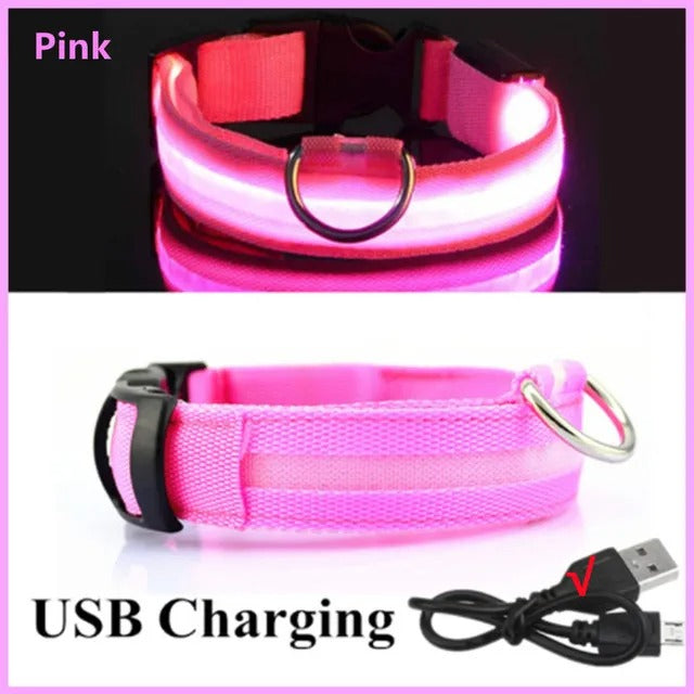 Rechargeable LED Light Up Dog Collar - Pink / XS -ShopMallUniverse