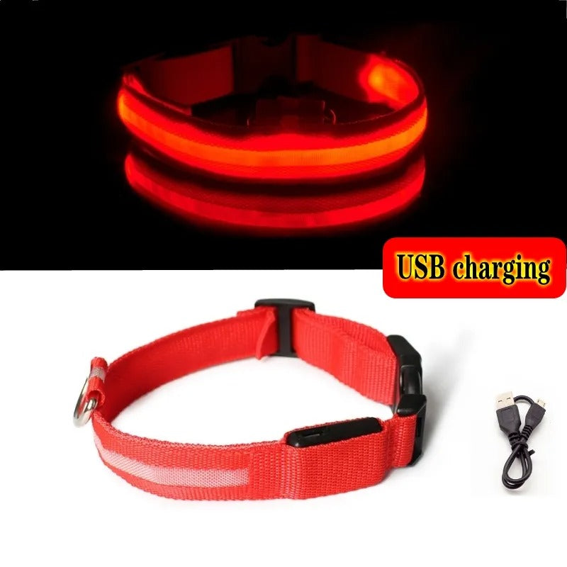 Rechargeable LED Light Up Dog Collar -ShopMallUniverse