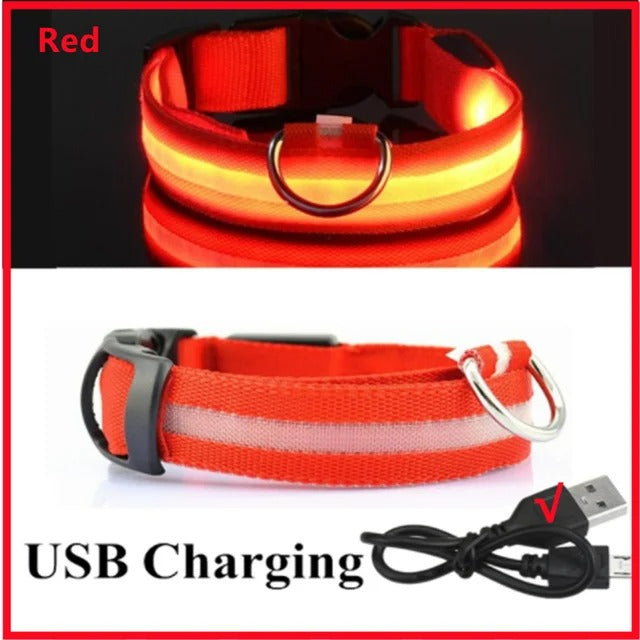 Rechargeable LED Light Up Dog Collar - Red / XS -ShopMallUniverse