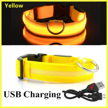 Rechargeable LED Light Up Dog Collar - Yellow / XS -ShopMallUniverse